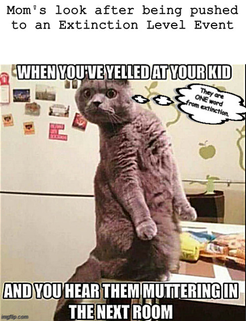 Mom's look at an E.L.E. | Mom's look after being pushed to an Extinction Level Event | image tagged in memes,mom,middleschool | made w/ Imgflip meme maker