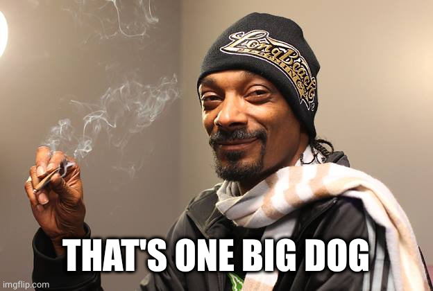Snoop Dogg | THAT'S ONE BIG DOG | image tagged in snoop dogg | made w/ Imgflip meme maker