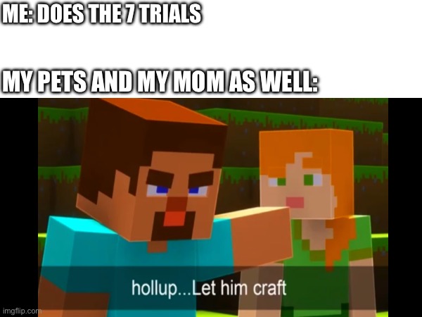 Let me craft | ME: DOES THE 7 TRIALS; MY PETS AND MY MOM AS WELL: | image tagged in let him craft | made w/ Imgflip meme maker