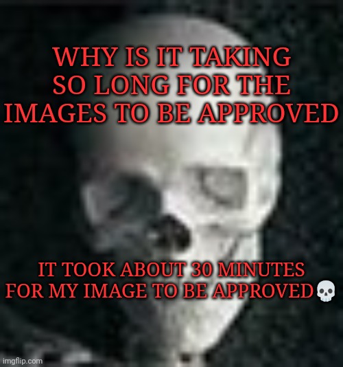 just make me mod already | WHY IS IT TAKING SO LONG FOR THE IMAGES TO BE APPROVED; IT TOOK ABOUT 30 MINUTES FOR MY IMAGE TO BE APPROVED💀 | image tagged in skull | made w/ Imgflip meme maker