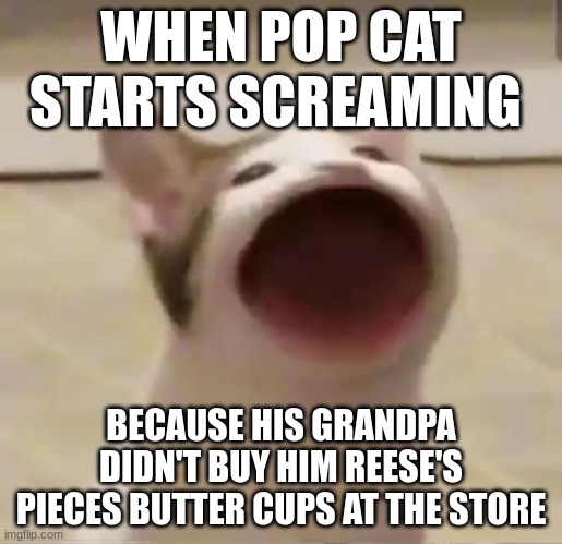 Pop Cat | WHEN POP CAT STARTS SCREAMING; BECAUSE HIS GRANDPA DIDN'T BUY HIM REESE'S PIECES BUTTER CUPS AT THE STORE | image tagged in pop cat | made w/ Imgflip meme maker