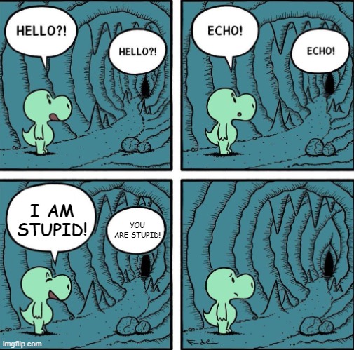 echo | I AM STUPID! YOU ARE STUPID! | image tagged in echo | made w/ Imgflip meme maker