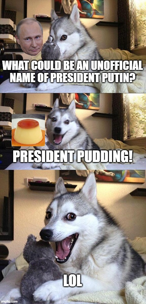 Stop the War, Please(comments disabled to prevent people like war appears) | WHAT COULD BE AN UNOFFICIAL NAME OF PRESIDENT PUTIN? PRESIDENT PUDDING! LOL | image tagged in memes,bad pun dog | made w/ Imgflip meme maker