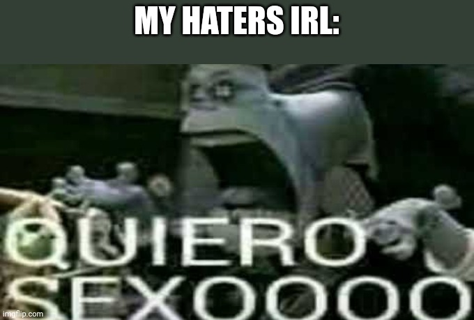 QUIERO SEXOOOO | MY HATERS IRL: | image tagged in quiero sexoooo | made w/ Imgflip meme maker