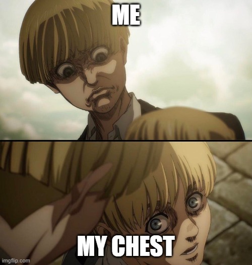 yelena and armin | ME MY CHEST | image tagged in yelena and armin | made w/ Imgflip meme maker
