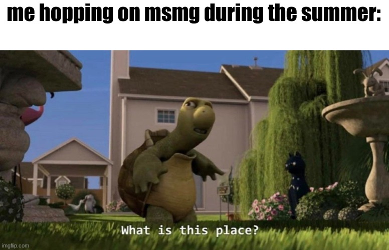 What is this place | me hopping on msmg during the summer: | image tagged in what is this place | made w/ Imgflip meme maker