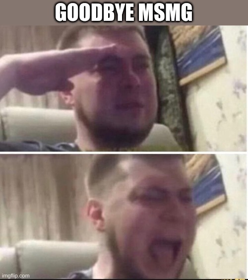 so long partner | GOODBYE MSMG | image tagged in crying salute | made w/ Imgflip meme maker