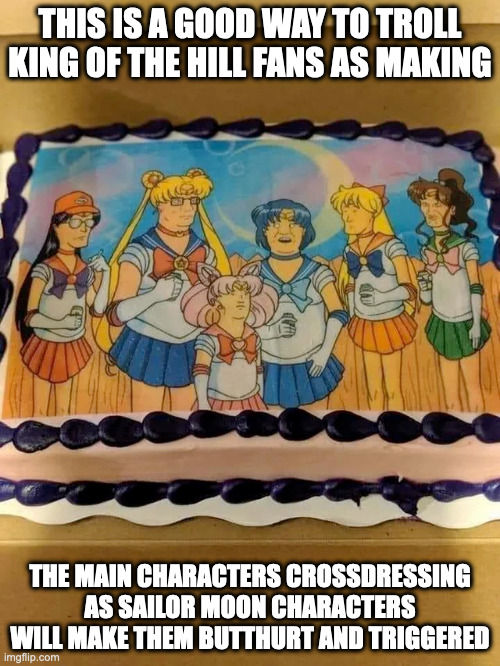 King of the Hill Crossdressing Cake | THIS IS A GOOD WAY TO TROLL KING OF THE HILL FANS AS MAKING; THE MAIN CHARACTERS CROSSDRESSING AS SAILOR MOON CHARACTERS WILL MAKE THEM BUTTHURT AND TRIGGERED | image tagged in cake,king of the hill,crossdressing,sailor moon,memes | made w/ Imgflip meme maker
