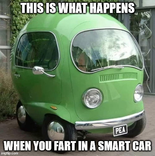 Smart Car issues | THIS IS WHAT HAPPENS; WHEN YOU FART IN A SMART CAR | image tagged in humor,cars,automotive | made w/ Imgflip meme maker