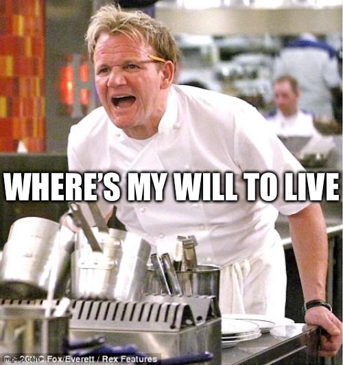 Where is it | WHERE’S MY WILL TO LIVE | image tagged in memes,chef gordon ramsay | made w/ Imgflip meme maker