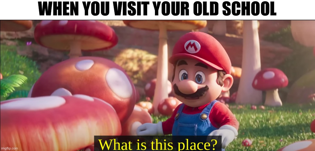 Old school | WHEN YOU VISIT YOUR OLD SCHOOL | image tagged in what is this place | made w/ Imgflip meme maker