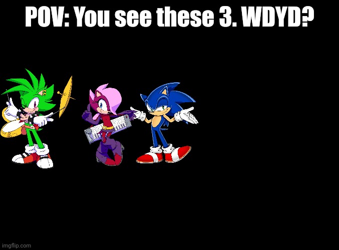 Not my OCs, credit to Sega and DiC Entertainment | POV: You see these 3. WDYD? | image tagged in blank black | made w/ Imgflip meme maker