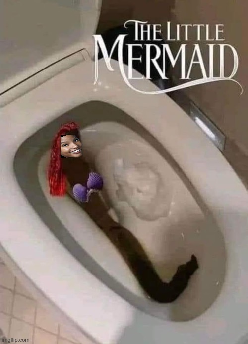 The Little Mermaid | image tagged in funny,funny memes,the little mermaid | made w/ Imgflip meme maker