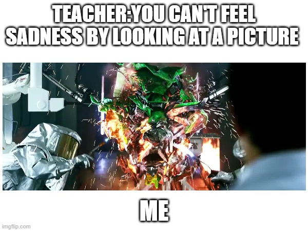 RIP rachet | TEACHER:YOU CAN'T FEEL SADNESS BY LOOKING AT A PICTURE; ME | image tagged in funny memes,sad | made w/ Imgflip meme maker