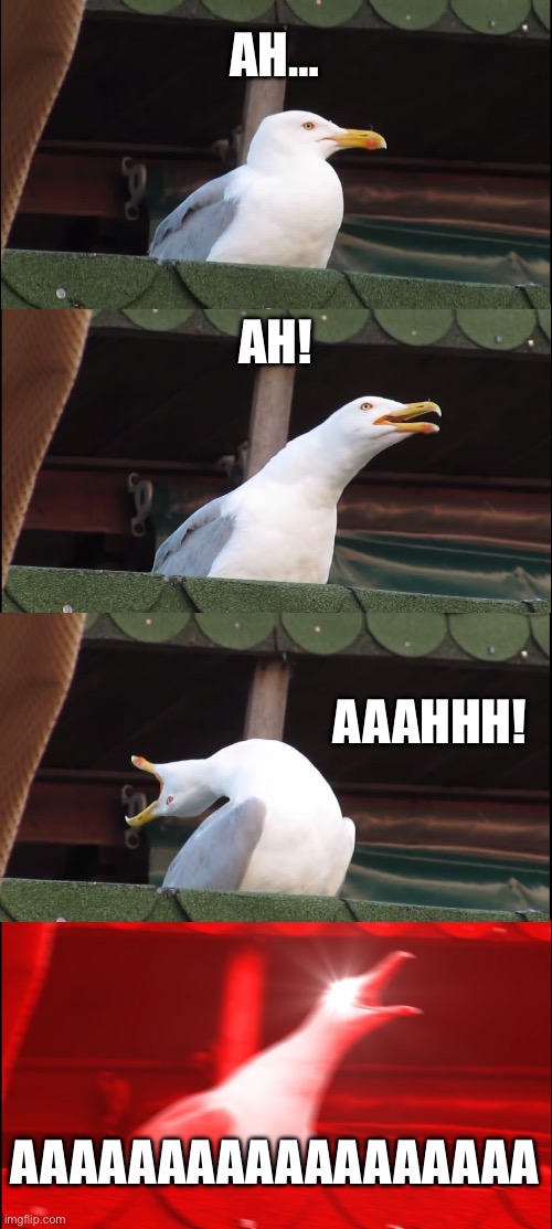 AAAAAAAAAAAAAAAAA | AH…; AH! AAAHHH! AAAAAAAAAAAAAAAAAA | image tagged in memes,inhaling seagull | made w/ Imgflip meme maker