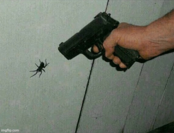 Not. Today. (Do not use if homophobic/anti-LGBTQ) | image tagged in not today | made w/ Imgflip meme maker