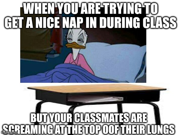 I should probabbly try sleeping at night instead of at school | WHEN YOU ARE TRYING TO GET A NICE NAP IN DURING CLASS; BUT YOUR CLASSMATES ARE SCREAMING AT THE TOP OOF THEIR LUNGS | image tagged in middle school,high school,sleep,donald duck | made w/ Imgflip meme maker