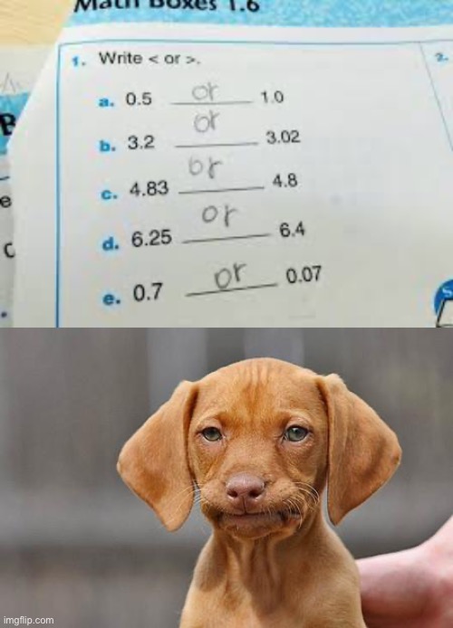 Thats not how math works | image tagged in dissapointed puppy | made w/ Imgflip meme maker