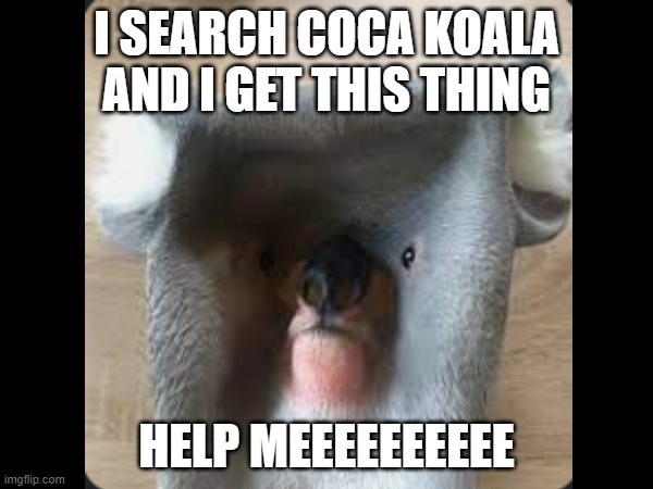 THE CURSED COCA KOALA | I SEARCH COCA KOALA AND I GET THIS THING; HELP MEEEEEEEEEE | image tagged in coca cola,koala,cursed image | made w/ Imgflip meme maker