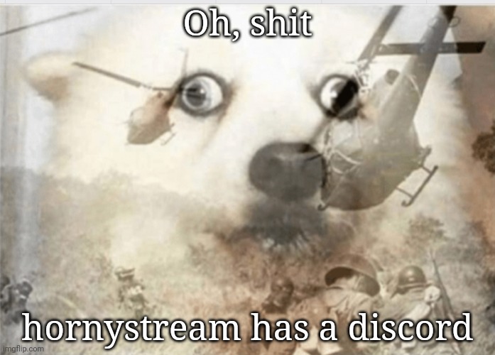 Someone call the FBI, because shit got serious | Oh, shit; hornystream has a discord | image tagged in ptsd dog | made w/ Imgflip meme maker