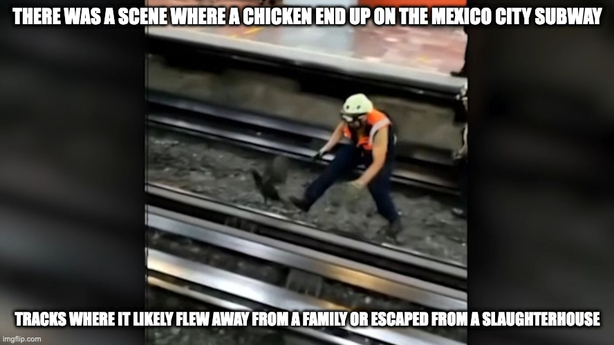 Chicken on Mexico City Subway Tracks | THERE WAS A SCENE WHERE A CHICKEN END UP ON THE MEXICO CITY SUBWAY; TRACKS WHERE IT LIKELY FLEW AWAY FROM A FAMILY OR ESCAPED FROM A SLAUGHTERHOUSE | image tagged in chicken,subway,public transport,memes | made w/ Imgflip meme maker