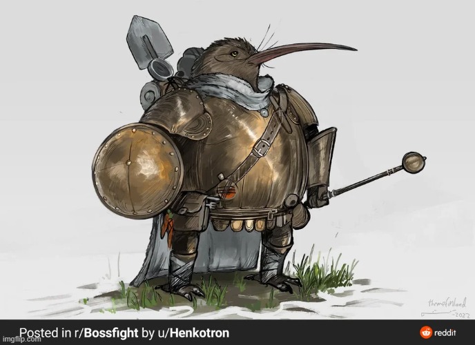 Kiwi Knight, liberator of Oceania (named by Henkotron) | image tagged in reddit,kiwi,knight | made w/ Imgflip meme maker