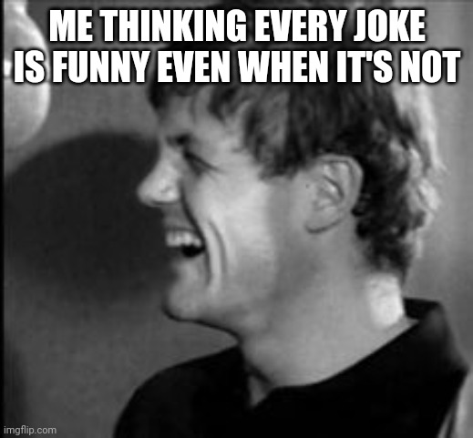 Jokes | ME THINKING EVERY JOKE IS FUNNY EVEN WHEN IT'S NOT | image tagged in the most interesting man in the world,the beach boys,bruce johnston,60s music | made w/ Imgflip meme maker