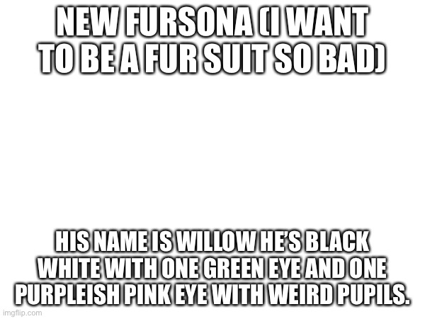 NEW FURSONA (I WANT TO BE A FUR SUIT SO BAD); HIS NAME IS WILLOW HE’S BLACK WHITE WITH ONE GREEN EYE AND ONE PURPLEISH PINK EYE WITH WEIRD PUPILS. | made w/ Imgflip meme maker