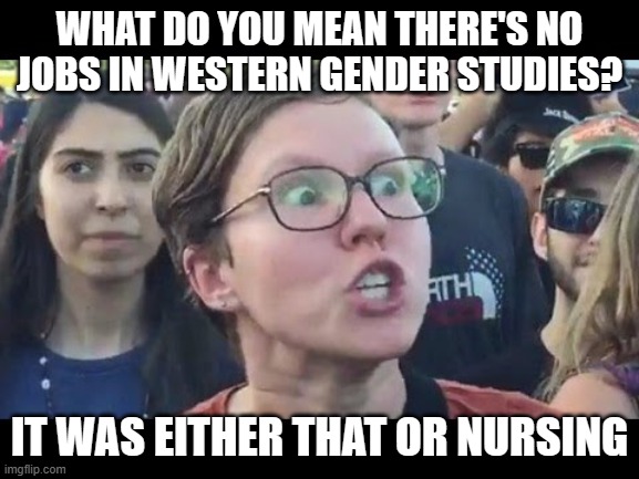 Angry sjw | WHAT DO YOU MEAN THERE'S NO JOBS IN WESTERN GENDER STUDIES? IT WAS EITHER THAT OR NURSING | image tagged in angry sjw | made w/ Imgflip meme maker