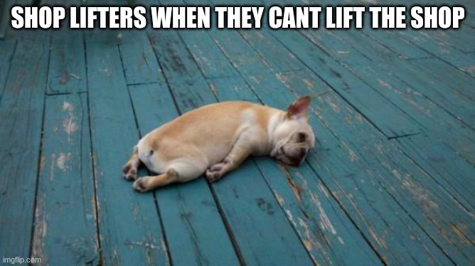 shoplifters man | SHOP LIFTERS WHEN THEY CANT LIFT THE SHOP | image tagged in tired dog | made w/ Imgflip meme maker