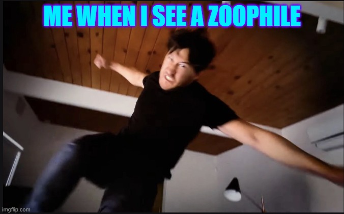 Markaplier jumping punch | ME WHEN I SEE A ZOOPHILE | image tagged in markaplier jumping punch | made w/ Imgflip meme maker