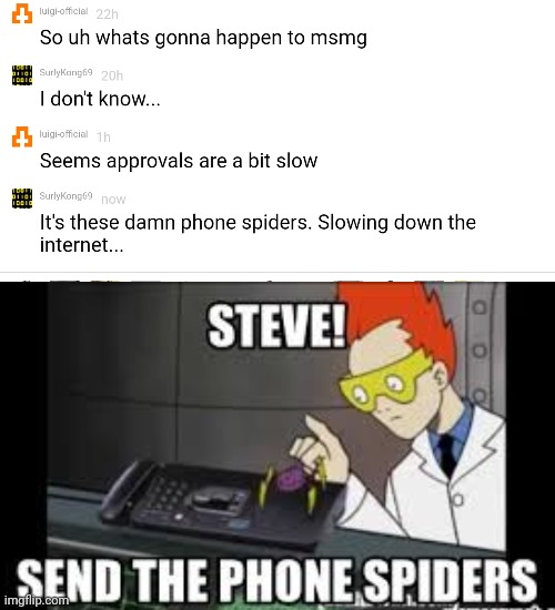 But why? Why would you do that? | image tagged in phone,spiders,no,this is not okie dokie | made w/ Imgflip meme maker
