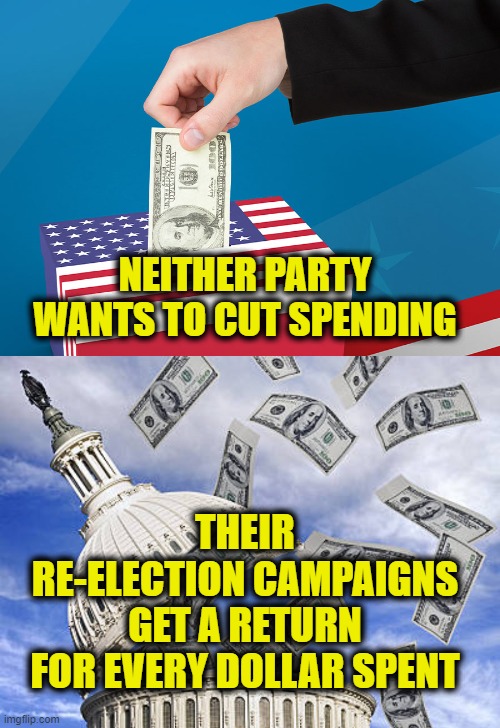 There's Really Only One Party | NEITHER PARTY
WANTS TO CUT SPENDING; THEIR
RE-ELECTION CAMPAIGNS
GET A RETURN
FOR EVERY DOLLAR SPENT | image tagged in parties | made w/ Imgflip meme maker