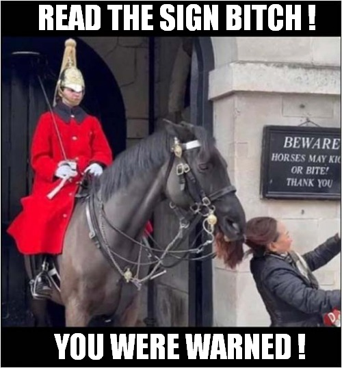 Bored Horse Entertainment ! | READ THE SIGN BITCH ! YOU WERE WARNED ! | image tagged in guards,horse,biting,dark humour | made w/ Imgflip meme maker