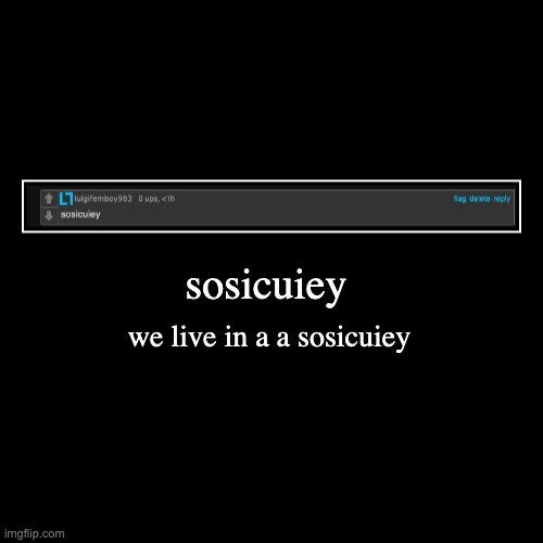 sosicuiey | sosicuiey | we live in a a sosicuiey | image tagged in sosicuiey | made w/ Imgflip demotivational maker