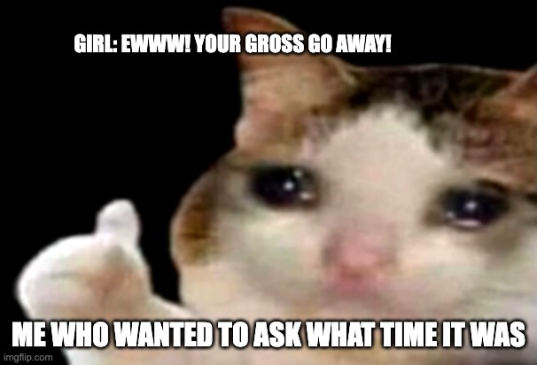 Sad cat thumbs up | GIRL: EWWW! YOUR GROSS GO AWAY! ME WHO WANTED TO ASK WHAT TIME IT WAS | image tagged in sad cat thumbs up | made w/ Imgflip meme maker