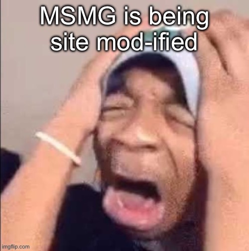 the | MSMG is being site mod-ified | image tagged in the | made w/ Imgflip meme maker