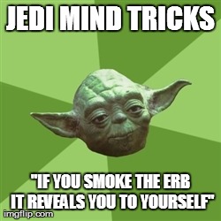 Advice Yoda | JEDI MIND TRICKS "IF YOU SMOKE THE ERB IT REVEALS YOU TO YOURSELF" | image tagged in memes,advice yoda | made w/ Imgflip meme maker