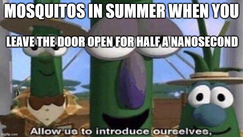 Mosquitos in summer | MOSQUITOS IN SUMMER WHEN YOU; LEAVE THE DOOR OPEN FOR HALF A NANOSECOND | image tagged in veggietales 'allow us to introduce ourselfs' | made w/ Imgflip meme maker