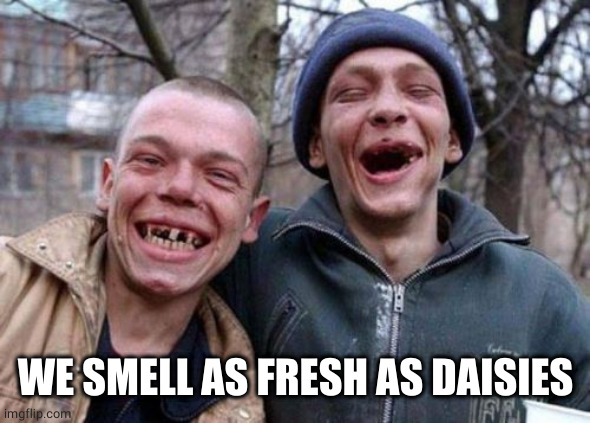 Ugly Twins Meme | WE SMELL AS FRESH AS DAISIES | image tagged in memes,ugly twins | made w/ Imgflip meme maker