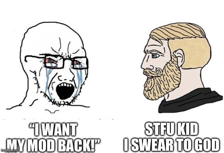 Soyboy Vs Yes Chad | STFU KID I SWEAR TO GOD; “I WANT MY MOD BACK!” | image tagged in soyboy vs yes chad | made w/ Imgflip meme maker