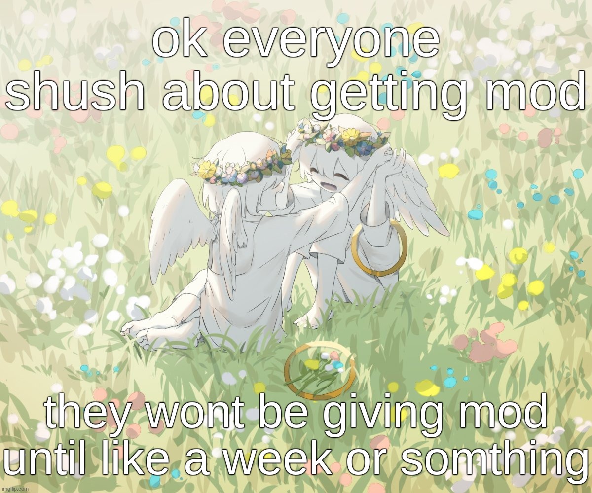 i only made that slideshow for the funnies | ok everyone shush about getting mod; they wont be giving mod until like a week or somthing | image tagged in avogado6 | made w/ Imgflip meme maker