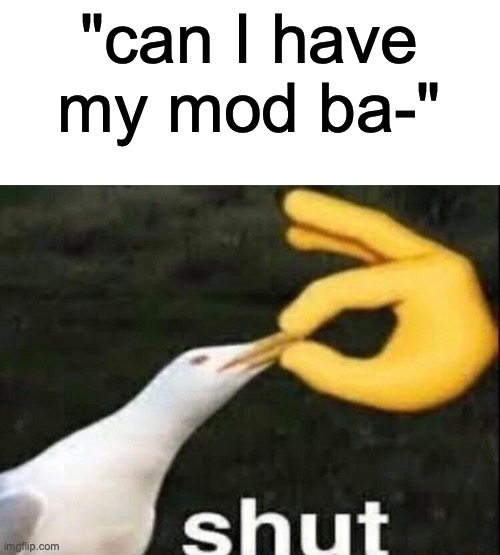 SHUT | "can I have my mod ba-" | image tagged in shut | made w/ Imgflip meme maker