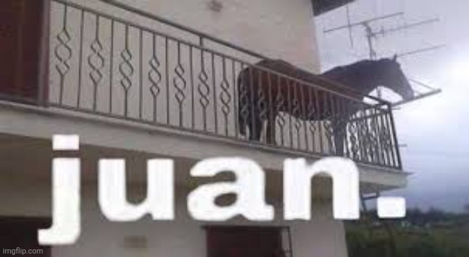 Juan | made w/ Imgflip meme maker