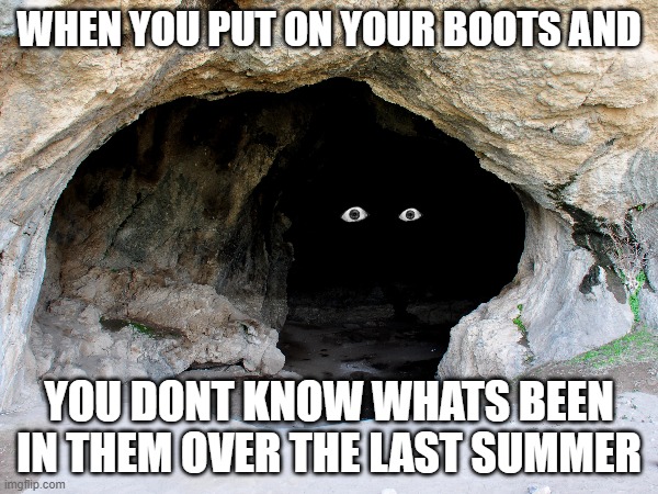 i was thoroughly checking my boots for spiders when it thought of making this meme | WHEN YOU PUT ON YOUR BOOTS AND; YOU DONT KNOW WHATS BEEN IN THEM OVER THE LAST SUMMER | image tagged in spiders,scary,uh oh | made w/ Imgflip meme maker