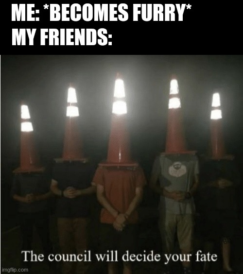 The council will decide your fate | ME: *BECOMES FURRY*; MY FRIENDS: | image tagged in the council will decide your fate | made w/ Imgflip meme maker
