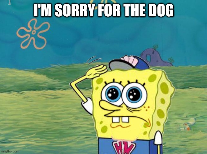 Spongebob salute | I'M SORRY FOR THE DOG | image tagged in spongebob salute | made w/ Imgflip meme maker