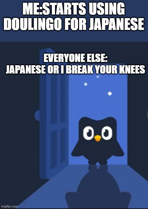 Spanish or vanish french or the trench Japanese or i break your knees | ME:STARTS USING DOULINGO FOR JAPANESE; EVERYONE ELSE:
JAPANESE OR I BREAK YOUR KNEES | image tagged in duolingo bird | made w/ Imgflip meme maker