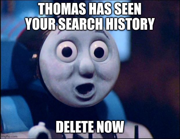 oh shit thomas | THOMAS HAS SEEN YOUR SEARCH HISTORY; DELETE NOW | image tagged in oh shit thomas | made w/ Imgflip meme maker