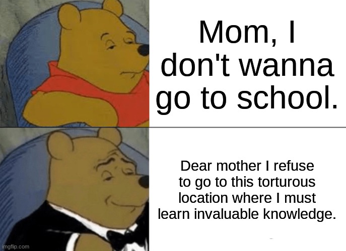 Not wanting to go to school | Mom, I don't wanna go to school. Dear mother I refuse to go to this torturous location where I must learn invaluable knowledge. | image tagged in memes,tuxedo winnie the pooh | made w/ Imgflip meme maker